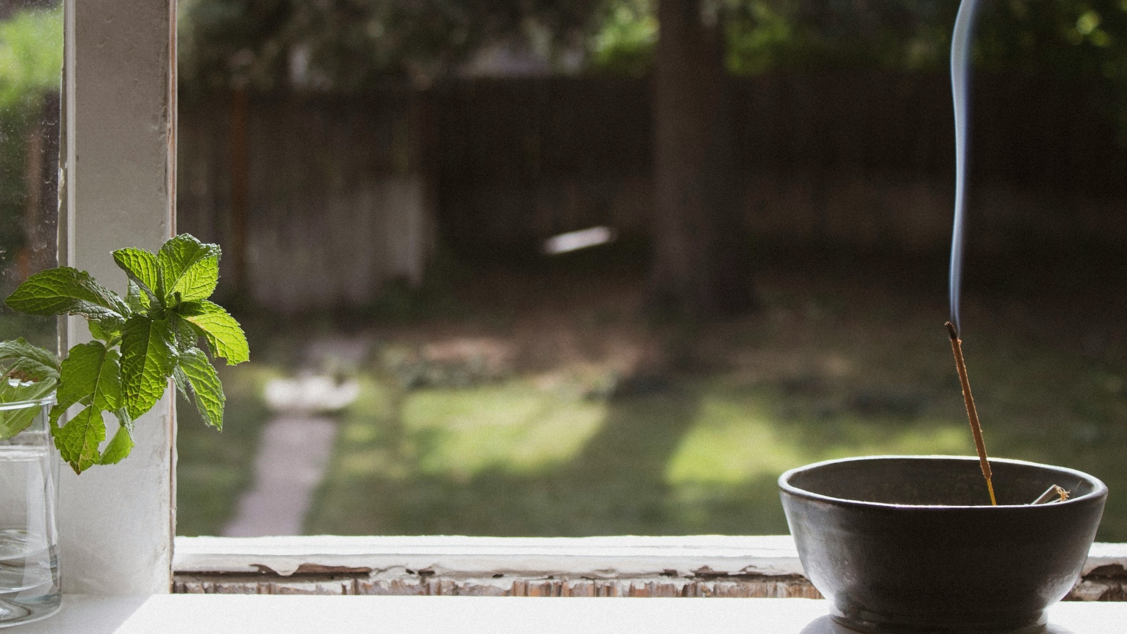 <img src="https://fumum.de/wp-content/uploads/2023/12/firmenlogo-cutout.png" alt="inFUMUMverti" width="600" height="190">