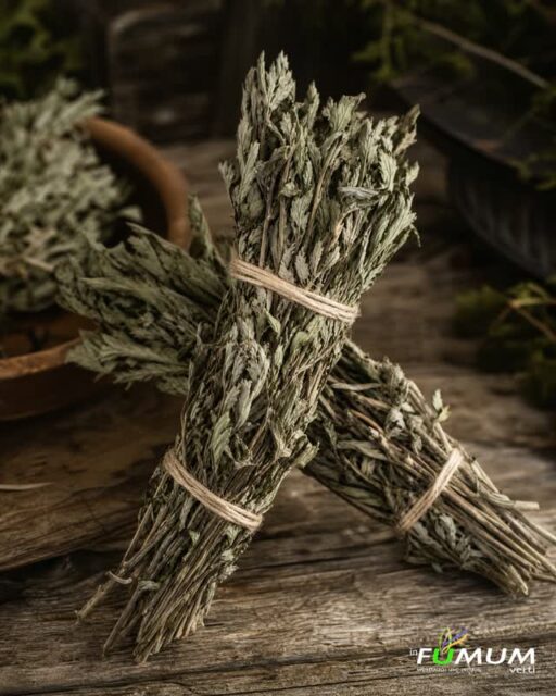 -Anzeige- Heimischer Beifuß: Kraftvolle Reinigung 🌿✨
Beifuß gehört zu den ältesten und kraftvollsten Räucherkräutern unserer Heimat. Er wirkt stark reinigend, befreit Räume von festgesetzten Energien und schafft Platz für Neues. Ideal für einen klaren Start ins Wochenende.
Nutzt du Beifuß bereits für deine Reinigungsrituale? Schreib es uns in die Kommentare! 👇
#Beifuß #Räuchern #HeimischeKräuter #EnergetischeReinigung #Räucherkunde #InFumumVerti #Naturkraft