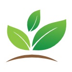 fumum.de von Drechslerei und Holzbau Grimm Über mich