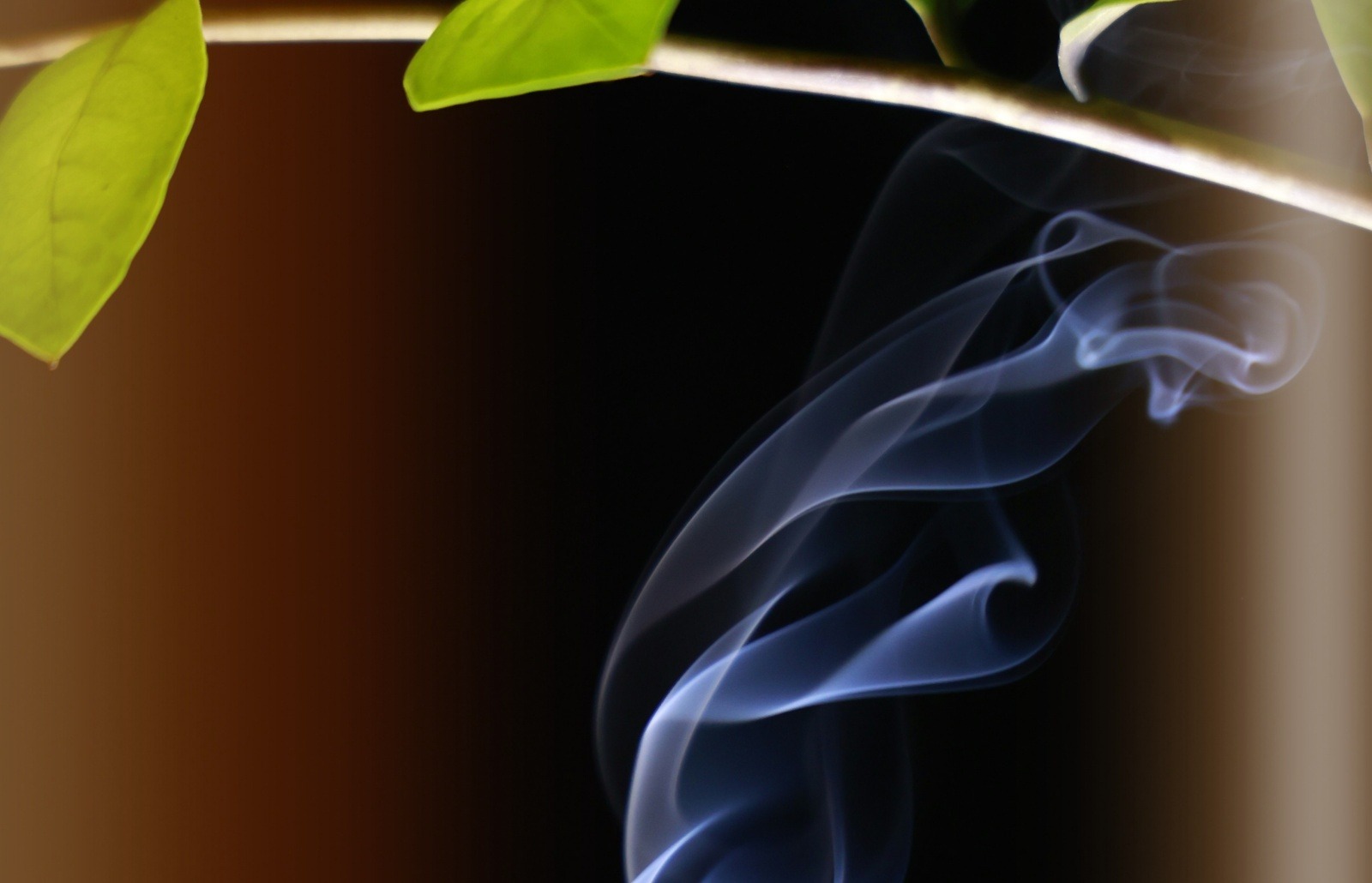 <img src="https://fumum.de/wp-content/uploads/2023/12/firmenlogo-cutout.png" alt="inFUMUMverti" width="600" height="190">